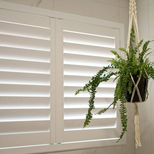 Modern PVC plantation shutters with wide blades installed in a Newcastle home by Blinds and Shutter Guys